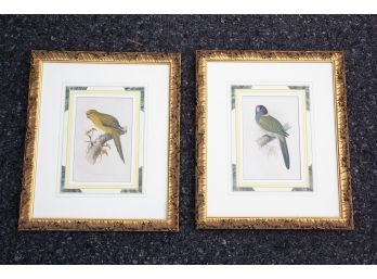 A Pair Of Framed Ornithological Prints