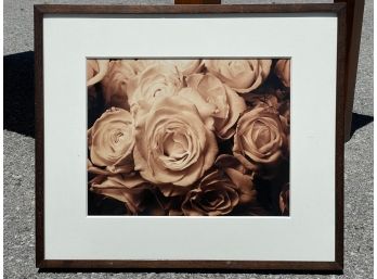 A Sepia Tone Framed Photograph Of Roses