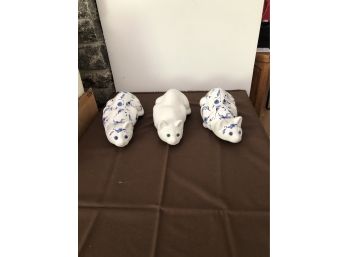 3 Blue & White Cats Portugal