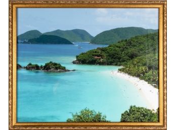 Framed Photograph Of Tropical Beach