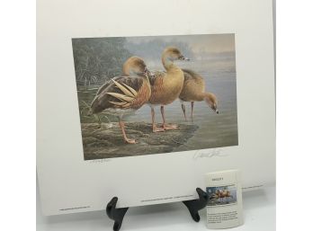 Vintage Daniel Smith Print ~ Pencil Signed, Numbered W/Duck Stamp ~ New