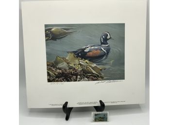 Vintage Harlequin Duck Print ~ Pencil Signed & Numbered ~ W/collectible Stamp