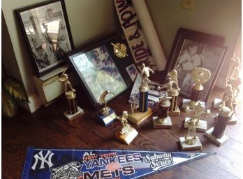 New York Yankees Collection