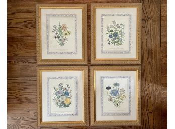 Four Colorful Custom Framed Floral Prints With Hand Detailed Mats