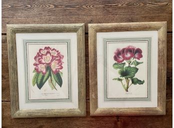 Merlot & Green Floral Prints With Custom Ribbed Gilt Frames