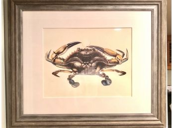 Framed Crab Print