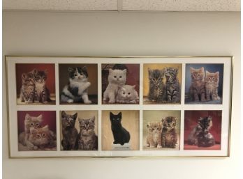 Large Gold Framed 10 Kitty Cat Pictures Hanging Artwork