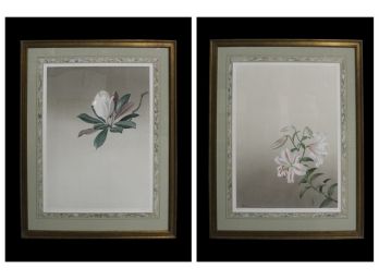 Stunning Pair Of Paul Jones Botanical Prints