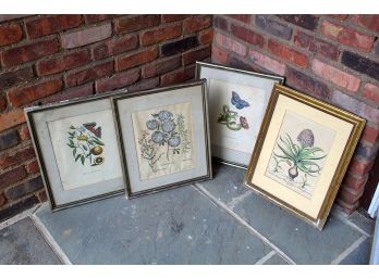 Group Of Custom Framed And Matted Botanical Prints