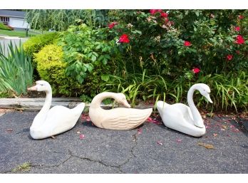 Group Of Fun  Large Carved Wooden Swans