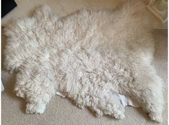 Sheep Skin Rug