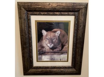 Sandie Smith Framed Photograph