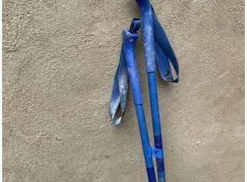 15, Blue Ski Poles, Nova Excel 125 CM