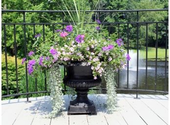 A Classic English Black Cast Iron Urn (With Plants) 3/4