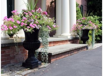 A Pair Of Classic English Black Cast Iron Urns (with Plantings)