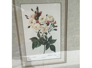 84, Pair Of Rose Print Hanging Art In Cream Frames