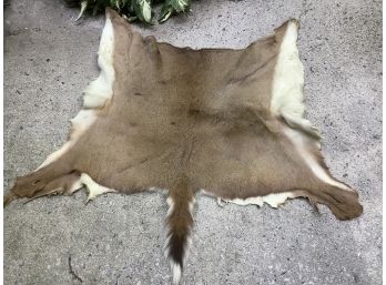 Deer Skin Rug In Great Cndition