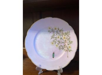 Antique French Limoges Haviland And Co Cabinet Plate - Pink With Hand Painted Daisies