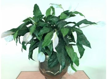 Faux Peace Lily In Large Brass Container - 32'H