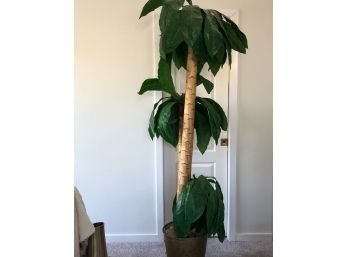 Faux 79' Tropical Tree