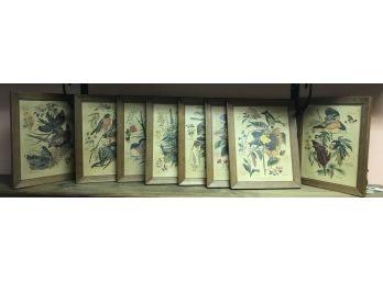 Eight Arthur Singer Bird Prints
