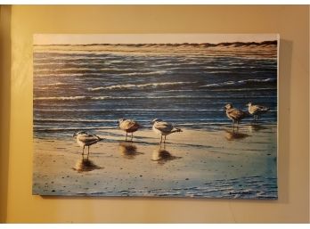 Sea  Shore - Canvas Print