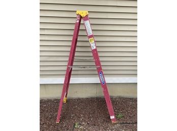 Werner 6ft Ladder