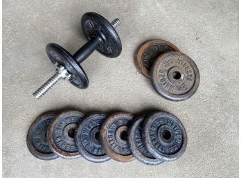 Weider Weights