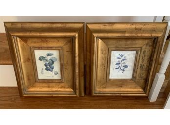 2 Flower Prints ~ Beautiful Frames ~