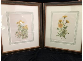 Emma Thayer 1899 Botanicals - Lithographs - Framed - A Pair