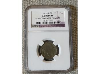1929 Buffalo Nickel AU Details NGC