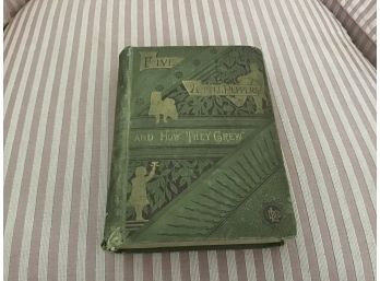 Vintage Little Peppers And How They Grew By Margaret Sidney, Published 1880