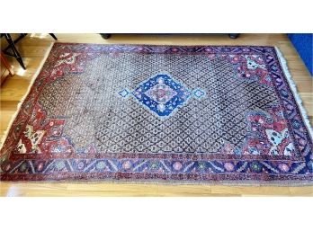 Thick Oriental Area Rug