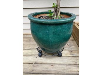 Beautiful Green Ceramic Planter