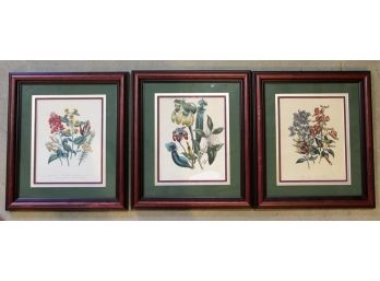 A Trio Of Framed Antique Botanical Lithographs By Jane Webb Loudon