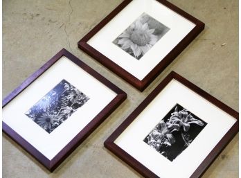 A Trio Of Framed Black And White Photographs