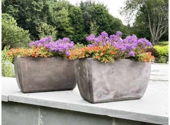 A Pair Of Modern Cast Planters With Live Foliage