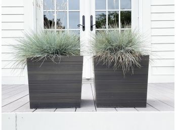 A Pair Of Modern Outdoor Planters With Live Grasses