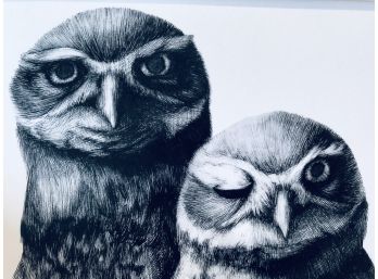 Very Cool Signed Owls Art Print Of Drawing By Aalexandrin