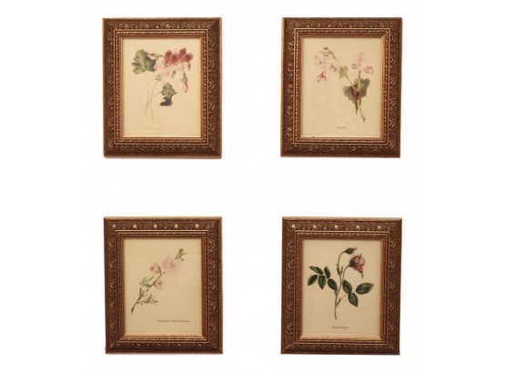 Set Of Four G.L. Maubach Floral Prints In Gold Gilt Frames