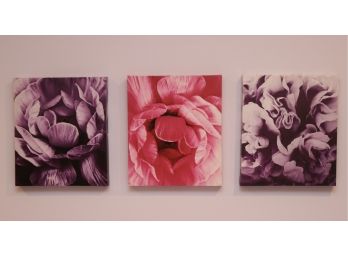 Set Of Three Pink And Purple Floral Pictures