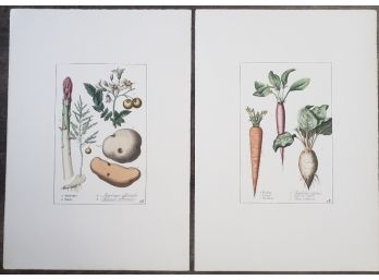 Pair Of Botanical Kitchen Garden Posters