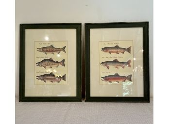 Pair Salmon And Trout Prints In Frames