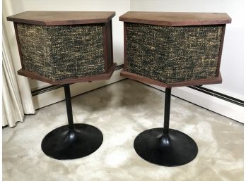 Pair Of BOSE 901 Speakers - Absolutely Incredible Find - Very Rare - Both On Black Stands FANTASTIC LOOK !