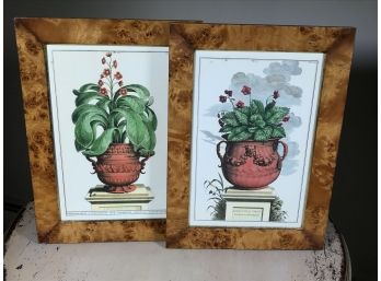 Two Fantastic Floral Prints By TROWBRIDGE GALLERY - Incredible Frames - Very Pretty Pieces