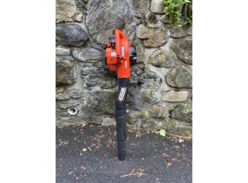 ECHO ES-250 Gas Leaf Blower