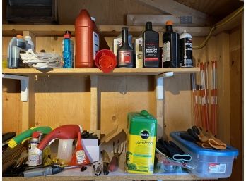 Misc Contents Of Shelf In The Shed