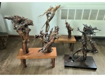 Three Tree Root Sculptures Each Mounted On A Plank/stool