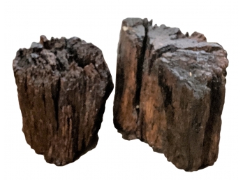 Two Distressed  Tree Trunk Section Sculptures