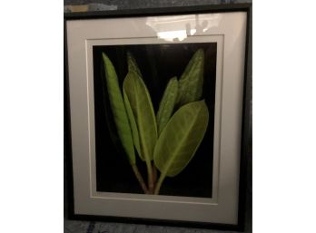 HAROLD FEINSTEIN Framed, Matted & Numbered (Valued At $500.00)